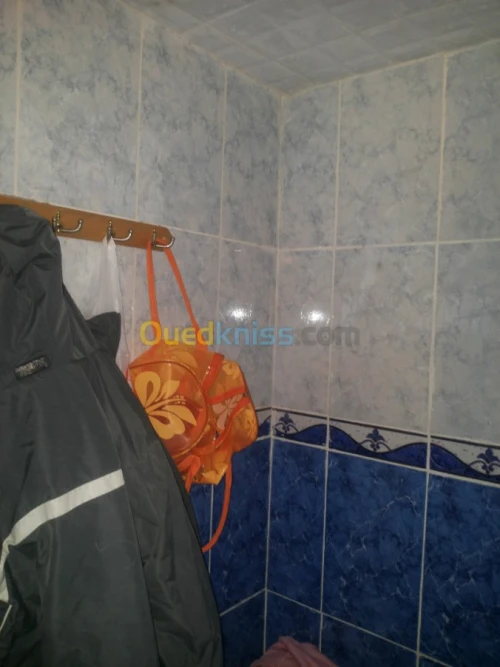 Vente Immeuble Naama Mecheria