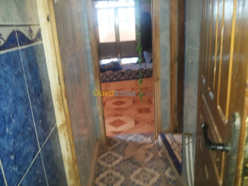 Vente Immeuble Naama Mecheria