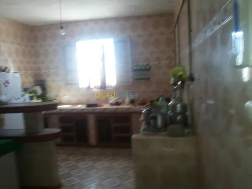 Vente Immeuble Naama Mecheria