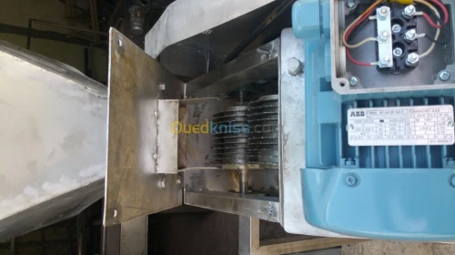 Conservation d'olives 