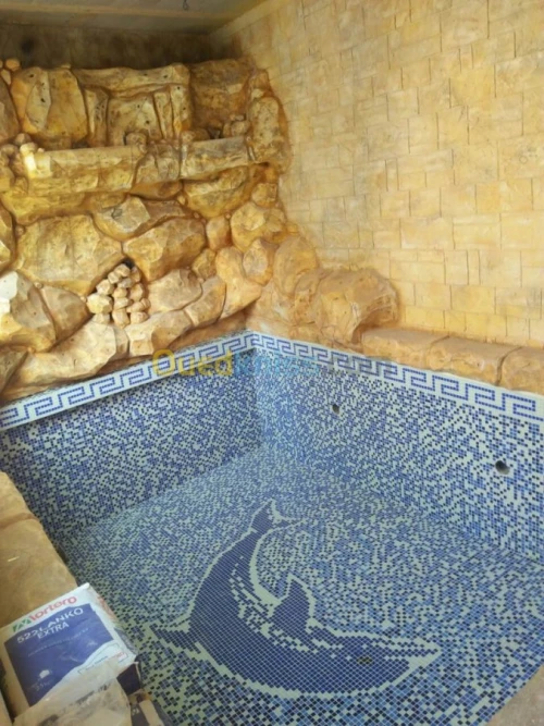 Fourniture et Pose des Piscines 