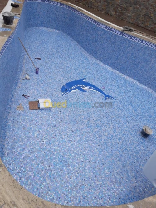 Fourniture et Pose des Piscines 
