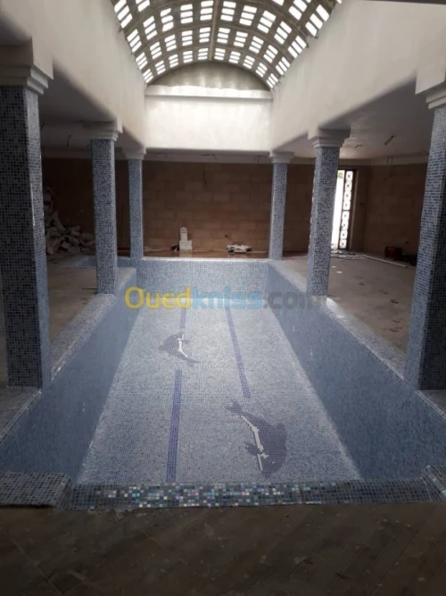 Fourniture et Pose des Piscines 
