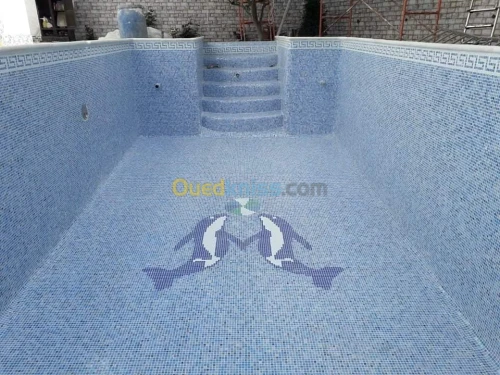 Fourniture et Pose des Piscines 