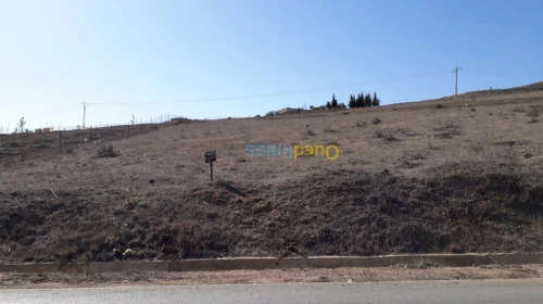 Vente Terrain Tlemcen Souahlia