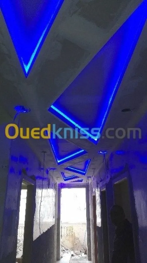 Placo Platre decoration et peintre PVC