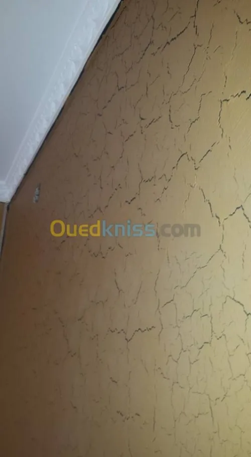 Peinture/decorations
