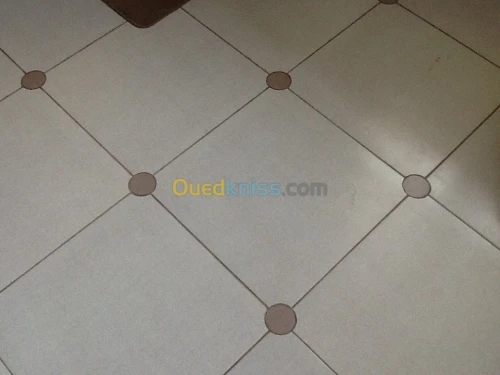 Carlage  dalle de sol marbre