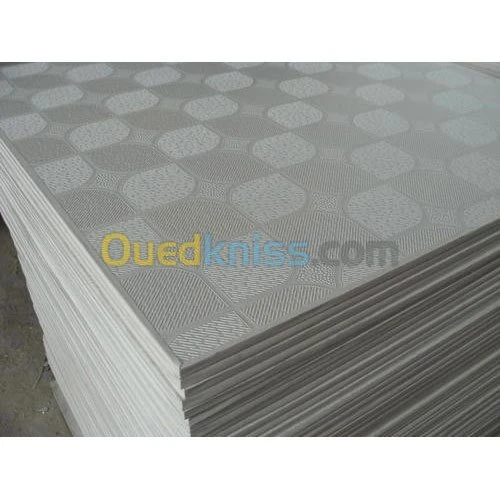 faux Plafond démontable 60 x 60