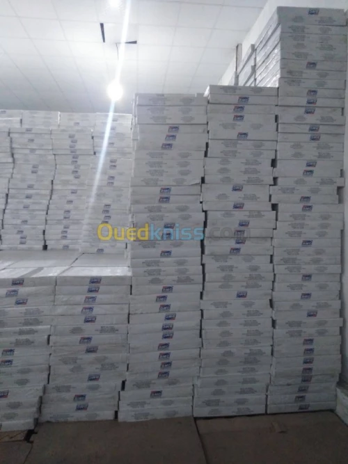 faux Plafond démontable 60 x 60