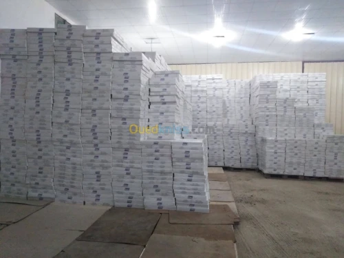 faux Plafond démontable 60 x 60