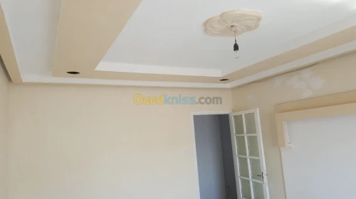 Peintre professionnel 