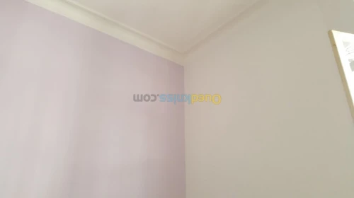 Peintre professionnel 