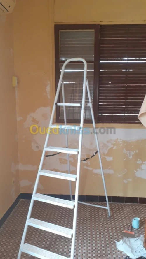 Peintre professionnel 