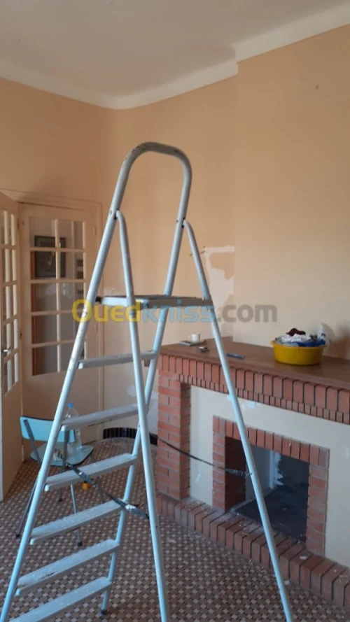 Peintre professionnel 