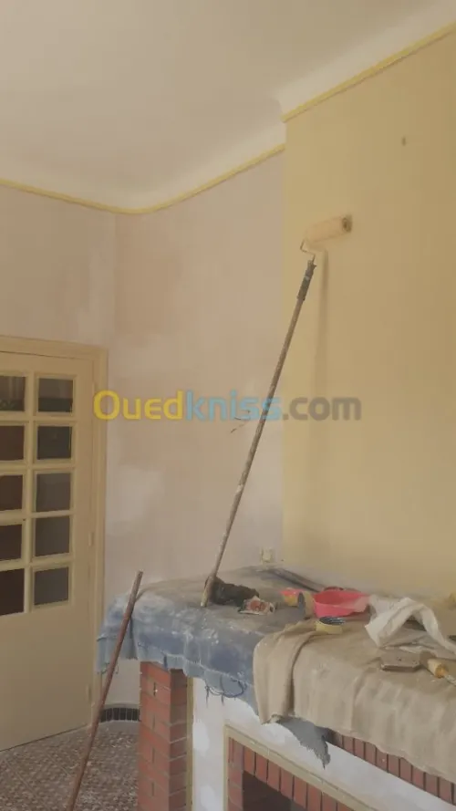 Peintre professionnel 