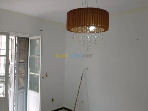 Peintre professionnel 