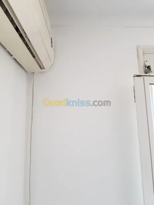 Peintre professionnel 