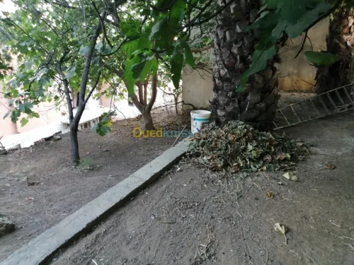 Vente Villa Alger Baba hassen