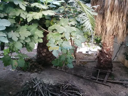 Vente Villa Alger Baba hassen