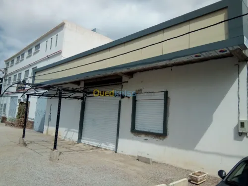 Vente Terrain Batna El madher