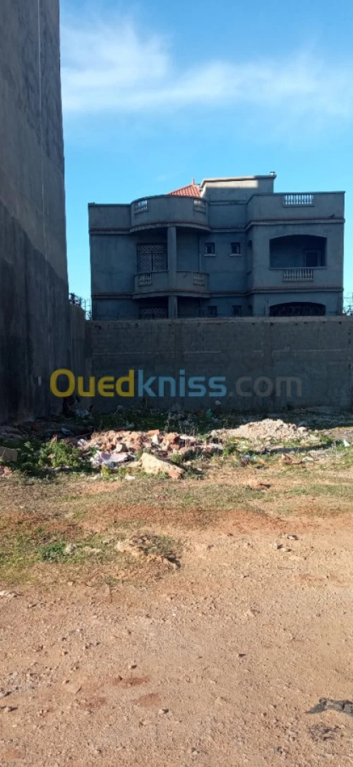 Vente Terrain Tipaza Bou ismail
