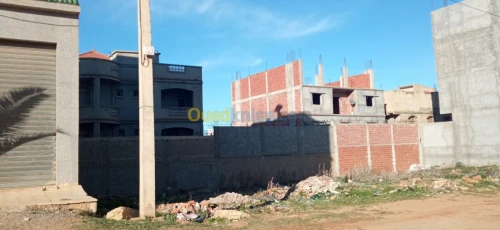 Vente Terrain Tipaza Bou ismail
