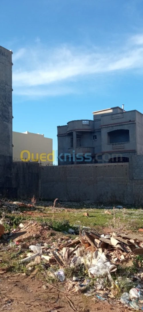 Vente Terrain Tipaza Bou ismail