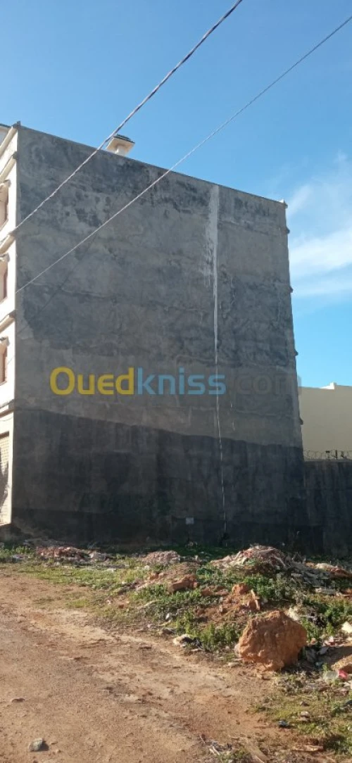 Vente Terrain Tipaza Bou ismail