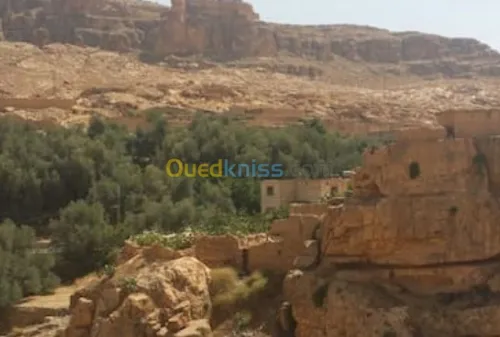 Location Villa Biskra Biskra