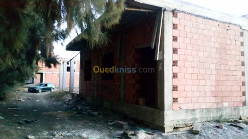 Vente Carcasse Blida Bougara