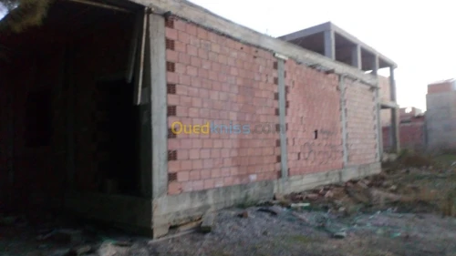 Vente Carcasse Blida Bougara