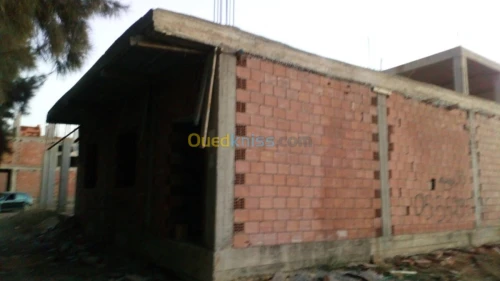 Vente Carcasse Blida Bougara