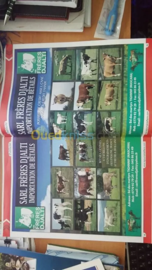 Travaux de publicité 