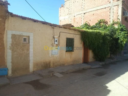 Vente bien immobilier Saida Ouled brahim