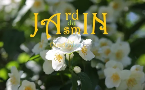 Crèche Jardin du Jasmin 