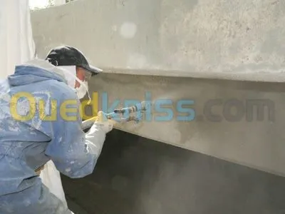 revêtement murs interieur et extérieur  