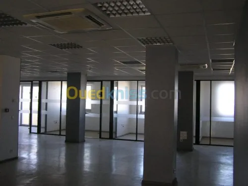 Location Villa Alger El biar