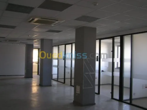Location Villa Alger El biar