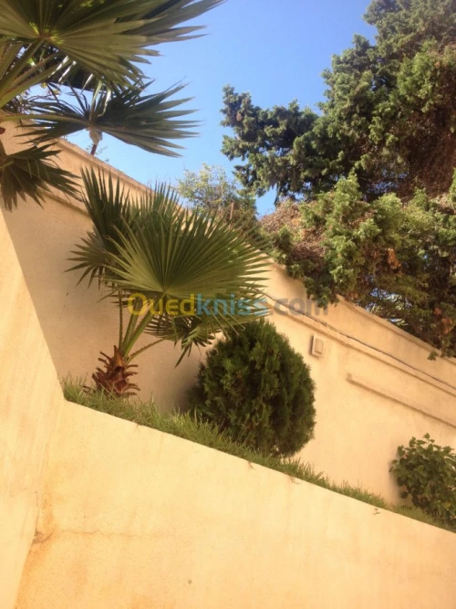 Location Villa Alger El biar
