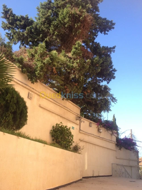 Location Villa Alger El biar