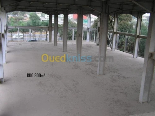 Location Immeuble Alger Birtouta
