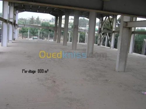 Location Immeuble Alger Birtouta