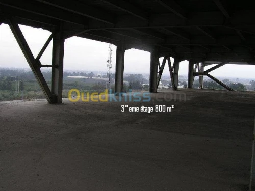 Location Immeuble Alger Birtouta