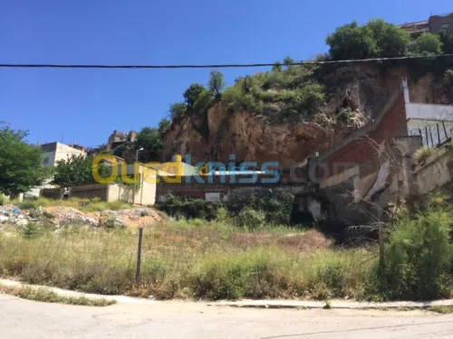 Vente Terrain Tlemcen Tlemcen