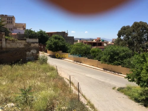 Vente Terrain Tlemcen Tlemcen