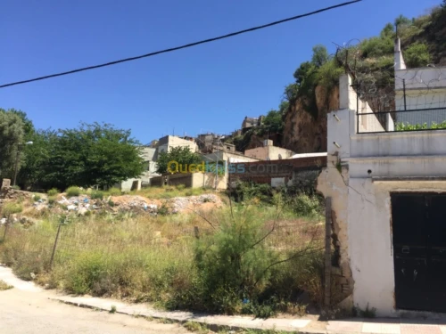 Vente Terrain Tlemcen Tlemcen