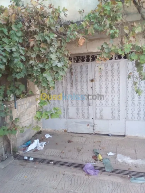 Vente Local Skikda El harrouch