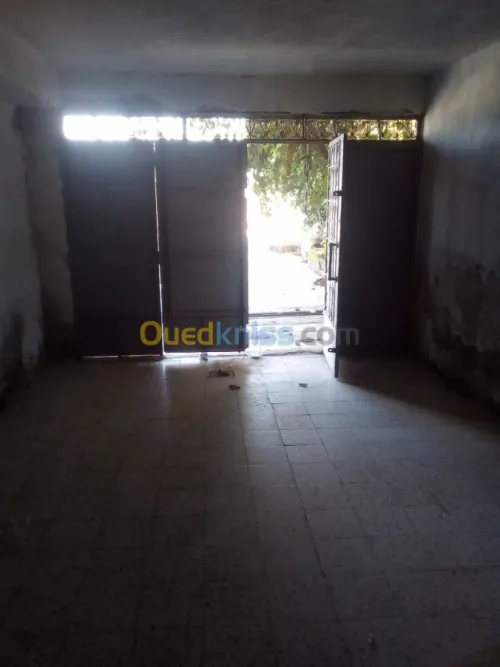 Vente Local Skikda El harrouch