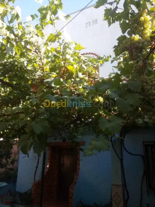 Vente Villa Tissemsilt Tissemsilt